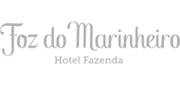 Foz Logo
